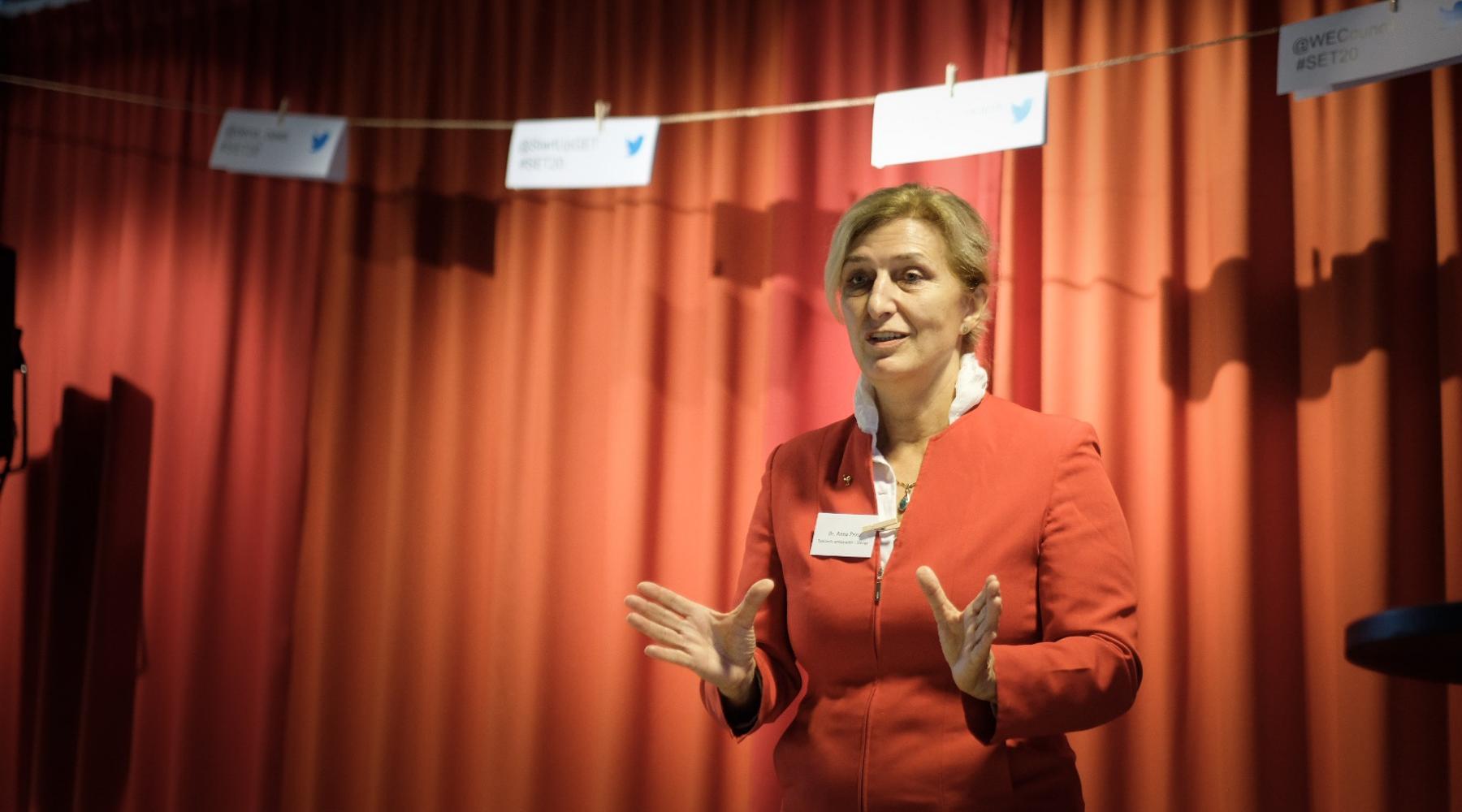 copyright by dena Den tyska ambassadören, Dr. Anna Prinz, inledde seminariet med en välkomsthälsning