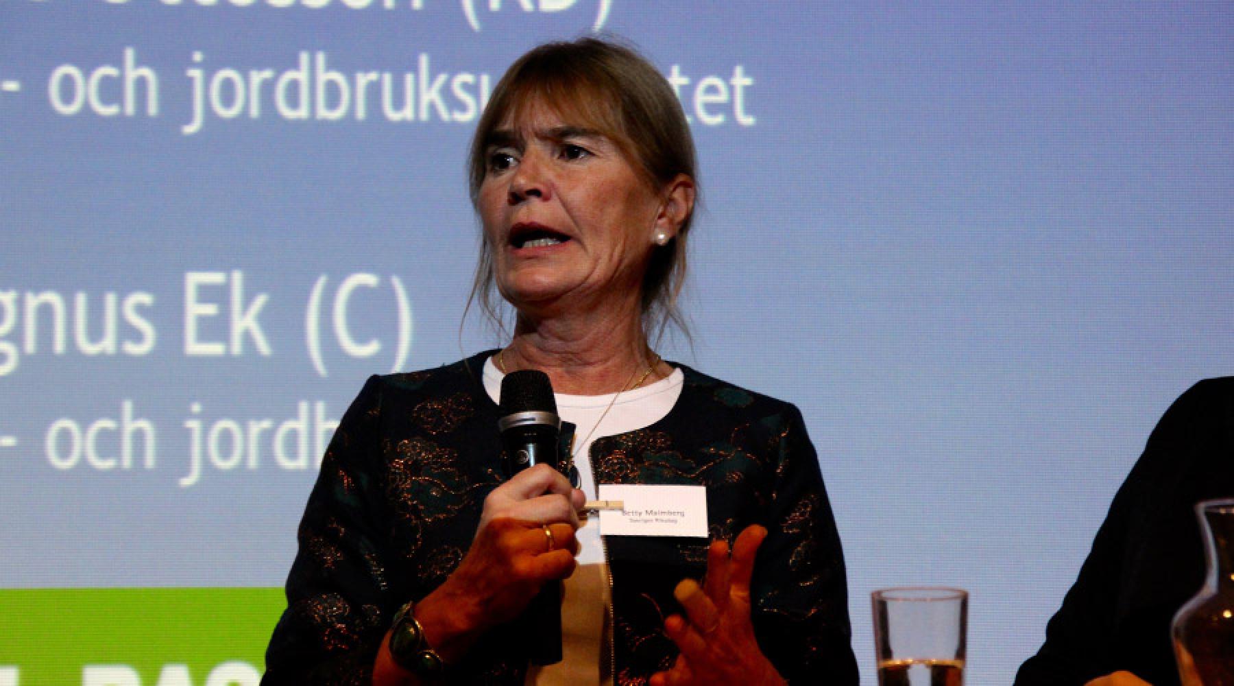 betty marlmberg tysk svenska handelskammaren biobaserad ekonomi seminarium