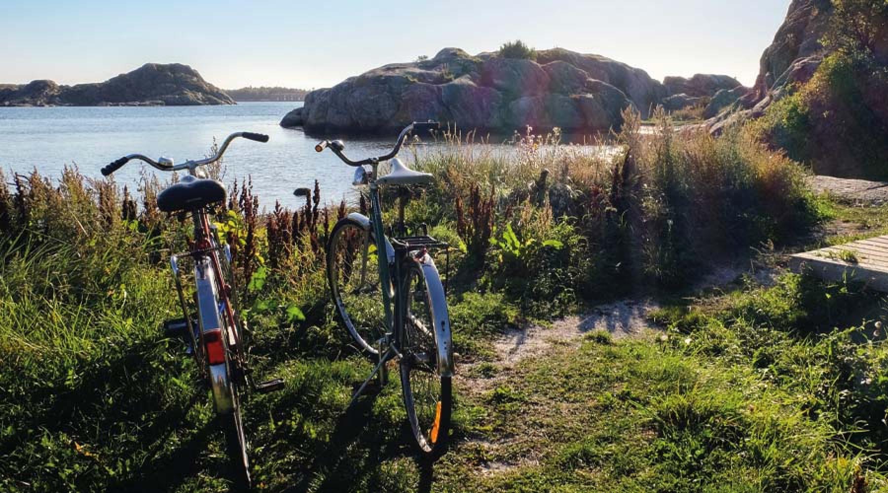 Cyklar parkerade i idylliskt område vid en sjö