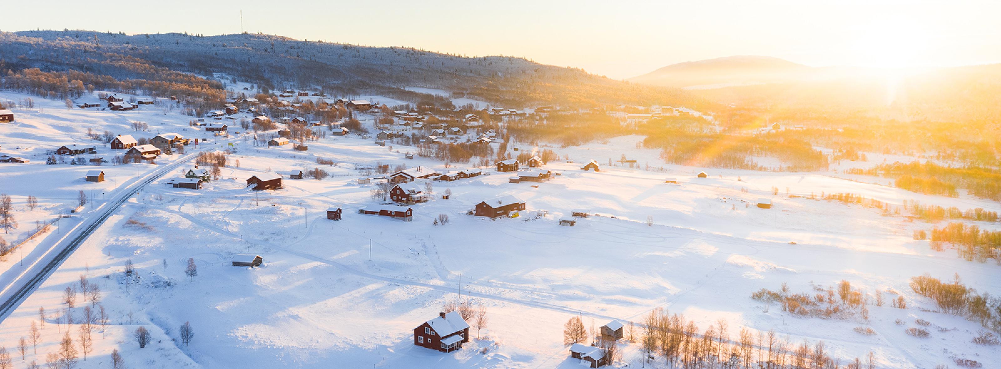 DeutschSchwedische Handelskammer